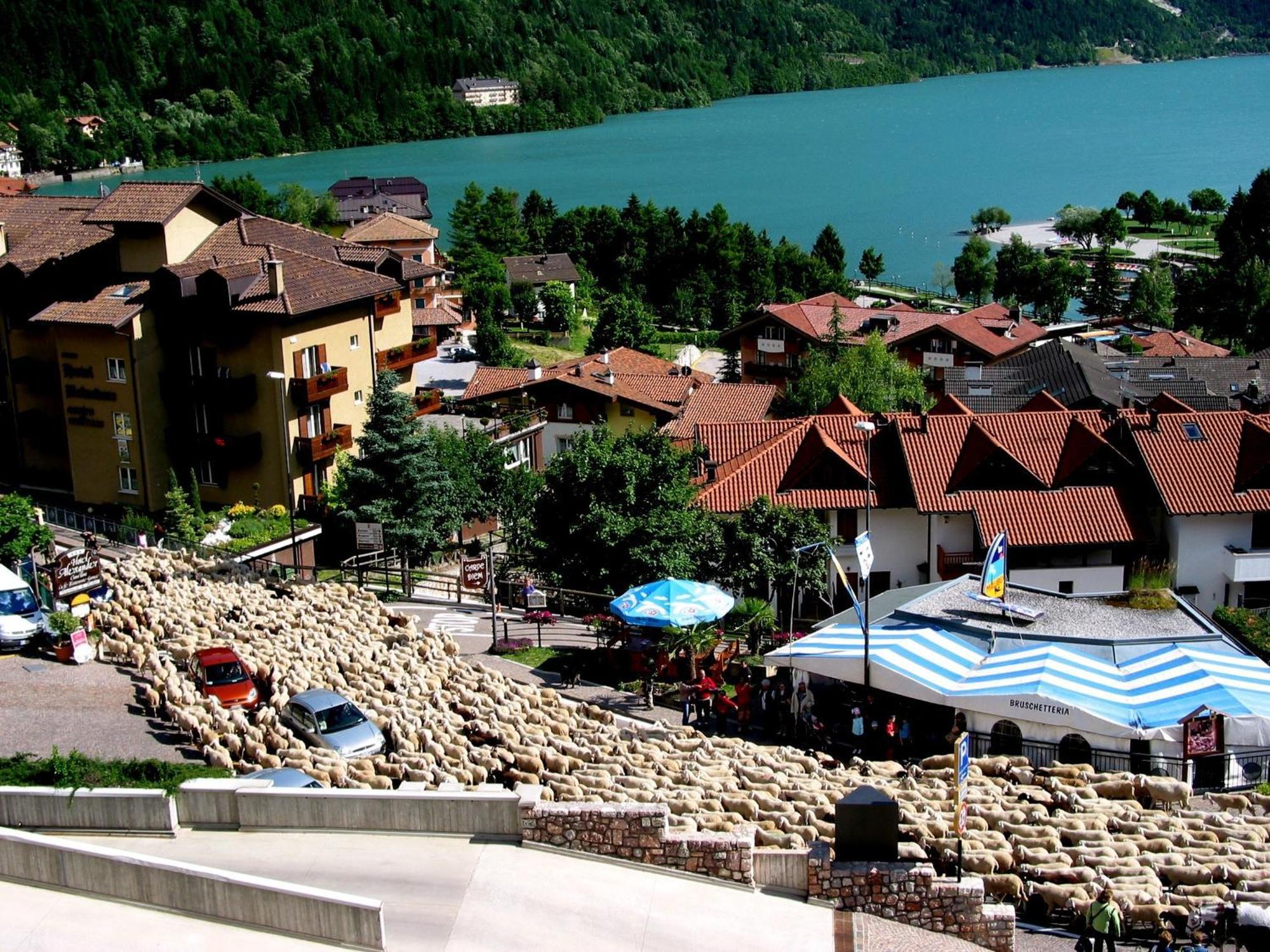 Albergo Stella Alpina Molveno Extérieur photo